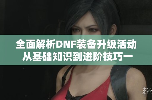 全面解析DNF装备升级活动 从基础知识到进阶技巧一应俱全