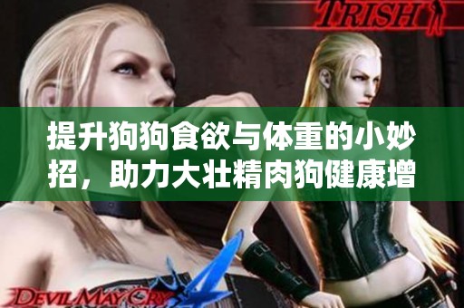 提升狗狗食欲与体重的小妙招，助力大壮精肉狗健康增肥