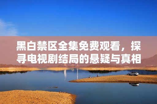 黑白禁区全集免费观看，探寻电视剧结局的悬疑与真相