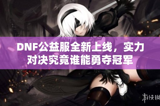 DNF公益服全新上线，实力对决究竟谁能勇夺冠军