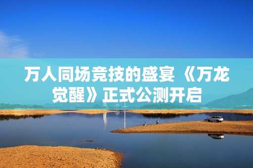 万人同场竞技的盛宴 《万龙觉醒》正式公测开启