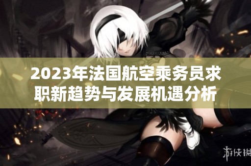 2023年法国航空乘务员求职新趋势与发展机遇分析