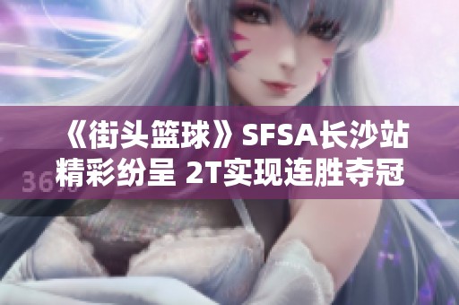 《街头篮球》SFSA长沙站精彩纷呈 2T实现连胜夺冠秘籍揭秘