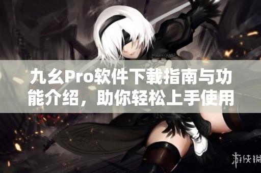 九幺Pro软件下载指南与功能介绍，助你轻松上手使用