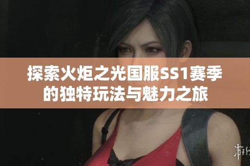 探索火炬之光国服SS1赛季的独特玩法与魅力之旅