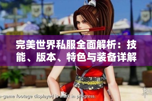 完美世界私服全面解析：技能、版本、特色与装备详解