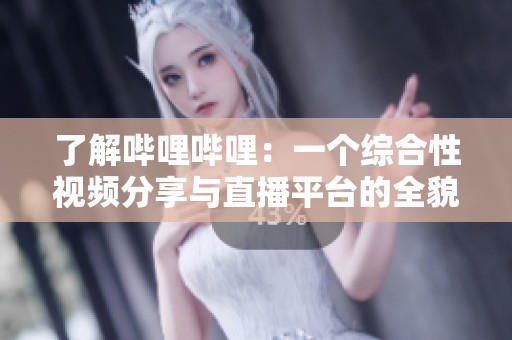 了解哔哩哔哩：一个综合性视频分享与直播平台的全貌