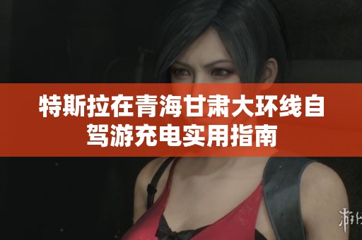 特斯拉在青海甘肃大环线自驾游充电实用指南