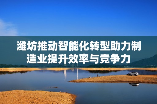 潍坊推动智能化转型助力制造业提升效率与竞争力