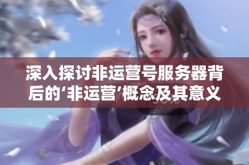 深入探讨非运营号服务器背后的‘非运营’概念及其意义