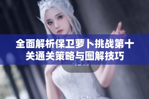 全面解析保卫萝卜挑战第十关通关策略与图解技巧