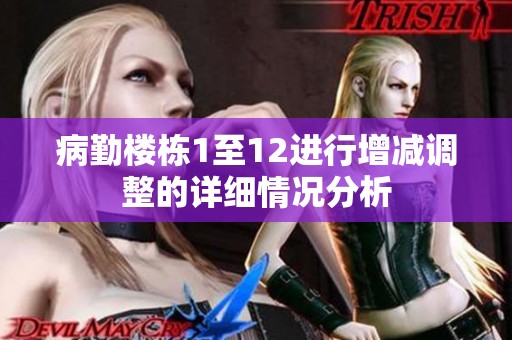病勤楼栋1至12进行增减调整的详细情况分析