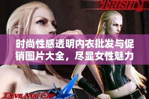 时尚性感透明内衣批发与促销图片大全，尽显女性魅力与风情