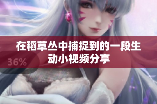 在稻草丛中捕捉到的一段生动小视频分享