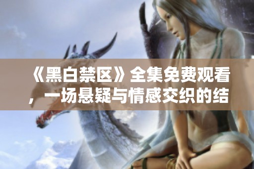 《黑白禁区》全集免费观看，一场悬疑与情感交织的结局揭晓