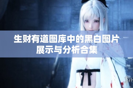 生财有道图库中的黑白图片展示与分析合集