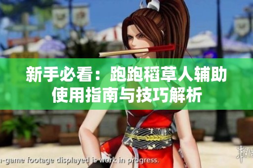 新手必看：跑跑稻草人辅助使用指南与技巧解析