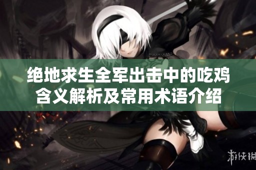 绝地求生全军出击中的吃鸡含义解析及常用术语介绍