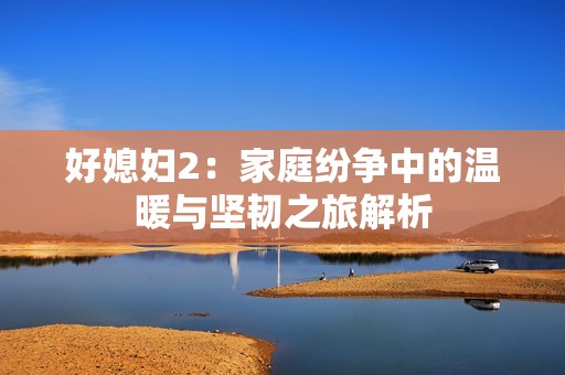好媳妇2：家庭纷争中的温暖与坚韧之旅解析