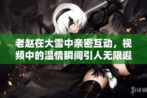 老赵在大雪中亲密互动，视频中的温情瞬间引人无限遐想