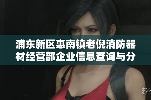 浦东新区惠南镇老倪消防器材经营部企业信息查询与分析