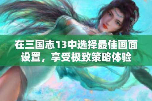 在三国志13中选择最佳画面设置，享受极致策略体验
