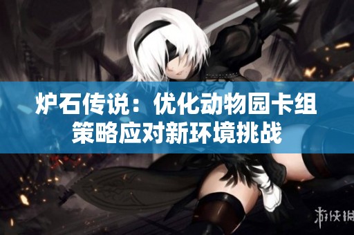 炉石传说：优化动物园卡组策略应对新环境挑战