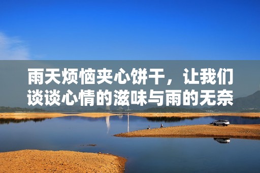 雨天烦恼夹心饼干，让我们谈谈心情的滋味与雨的无奈