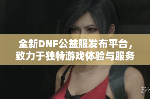 全新DNF公益服发布平台，致力于独特游戏体验与服务