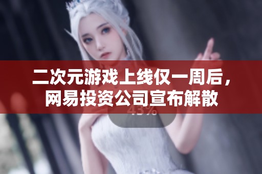 二次元游戏上线仅一周后，网易投资公司宣布解散
