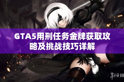 GTA5用刑任务金牌获取攻略及挑战技巧详解