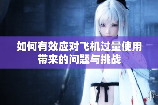 如何有效应对飞机过量使用带来的问题与挑战