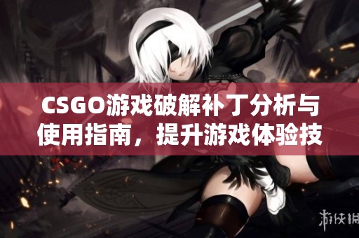 CSGO游戏破解补丁分析与使用指南，提升游戏体验技巧