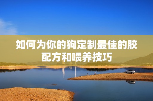 如何为你的狗定制最佳的胶配方和喂养技巧