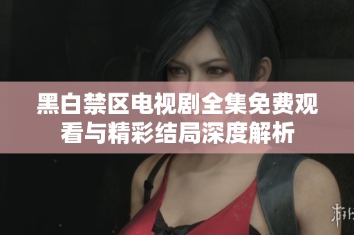 黑白禁区电视剧全集免费观看与精彩结局深度解析