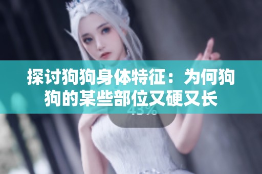 探讨狗狗身体特征：为何狗狗的某些部位又硬又长