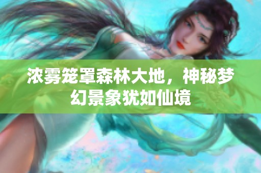 浓雾笼罩森林大地，神秘梦幻景象犹如仙境