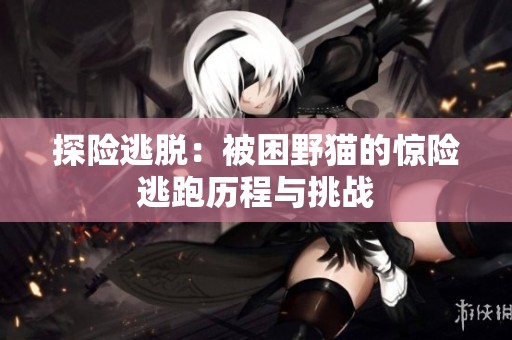 探险逃脱：被困野猫的惊险逃跑历程与挑战