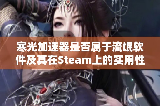 寒光加速器是否属于流氓软件及其在Steam上的实用性分析
