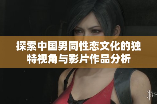 探索中国男同性恋文化的独特视角与影片作品分析