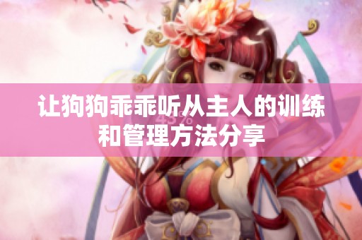 让狗狗乖乖听从主人的训练和管理方法分享