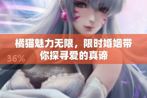 橘猫魅力无限，限时婚姻带你探寻爱的真谛
