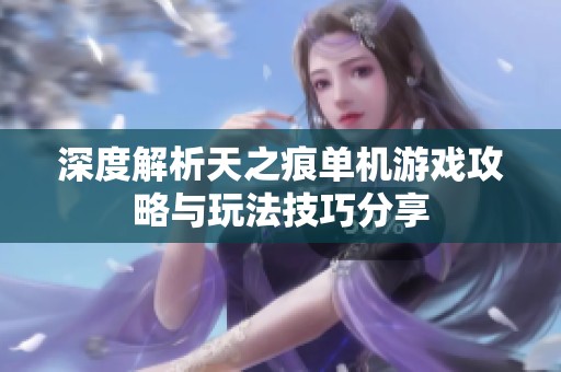 深度解析天之痕单机游戏攻略与玩法技巧分享