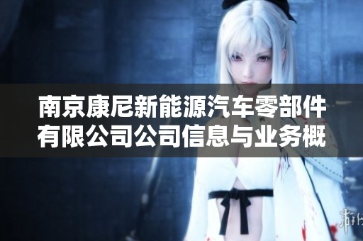 南京康尼新能源汽车零部件有限公司公司信息与业务概况分析