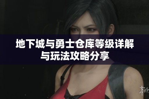地下城与勇士仓库等级详解与玩法攻略分享