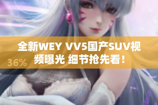全新WEY VV5国产SUV视频曝光 细节抢先看！