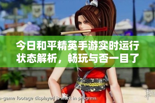 今日和平精英手游实时运行状态解析，畅玩与否一目了然
