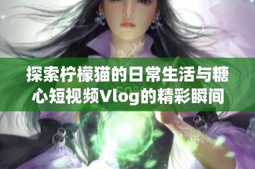 探索柠檬猫的日常生活与糖心短视频Vlog的精彩瞬间