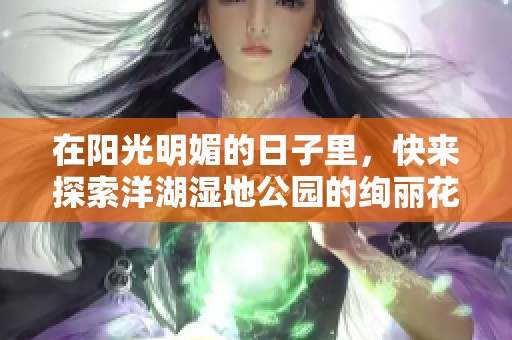 在阳光明媚的日子里，快来探索洋湖湿地公园的绚丽花海