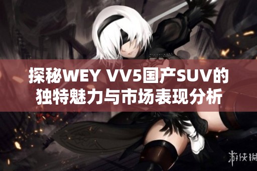 探秘WEY VV5国产SUV的独特魅力与市场表现分析